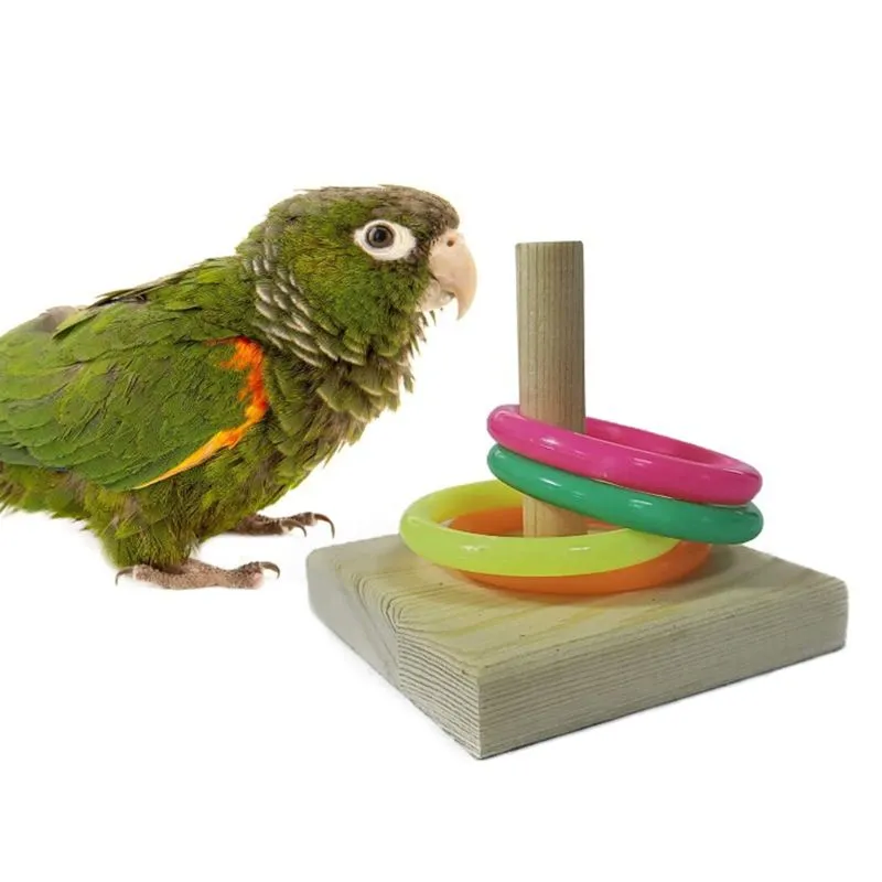 8 Pieces Parrot Training Chew Toys