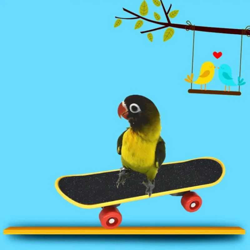 8 Pieces Parrot Training Chew Toys